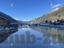 足球比分查询新浪-足球比分实时追踪，新浪体育——球迷的掌中宝