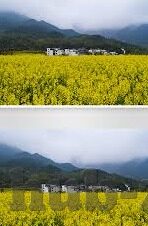 足球直播500比分-深度解析，足球直播500比分——球迷的实时数据盛宴与策略指南